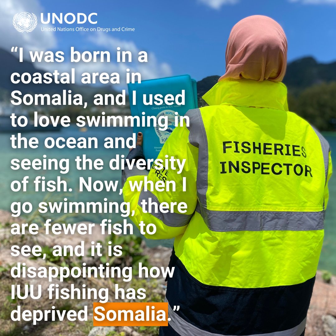 UNODC_BMB's tweet photo. 🌊 Happy #WorldOceanDay! Let's work together to protect our oceans from threats like #IUUFishing. Check out the incredible efforts by @UNODC_MCP #Somalia to combat illegal fishing and safeguard marine life. 🌍🐟 Read stories here: https://t.co/uUnN3muFY3 &amp; https://t.co/GbFkQUmgUv https://t.co/e5vaSCIDTC