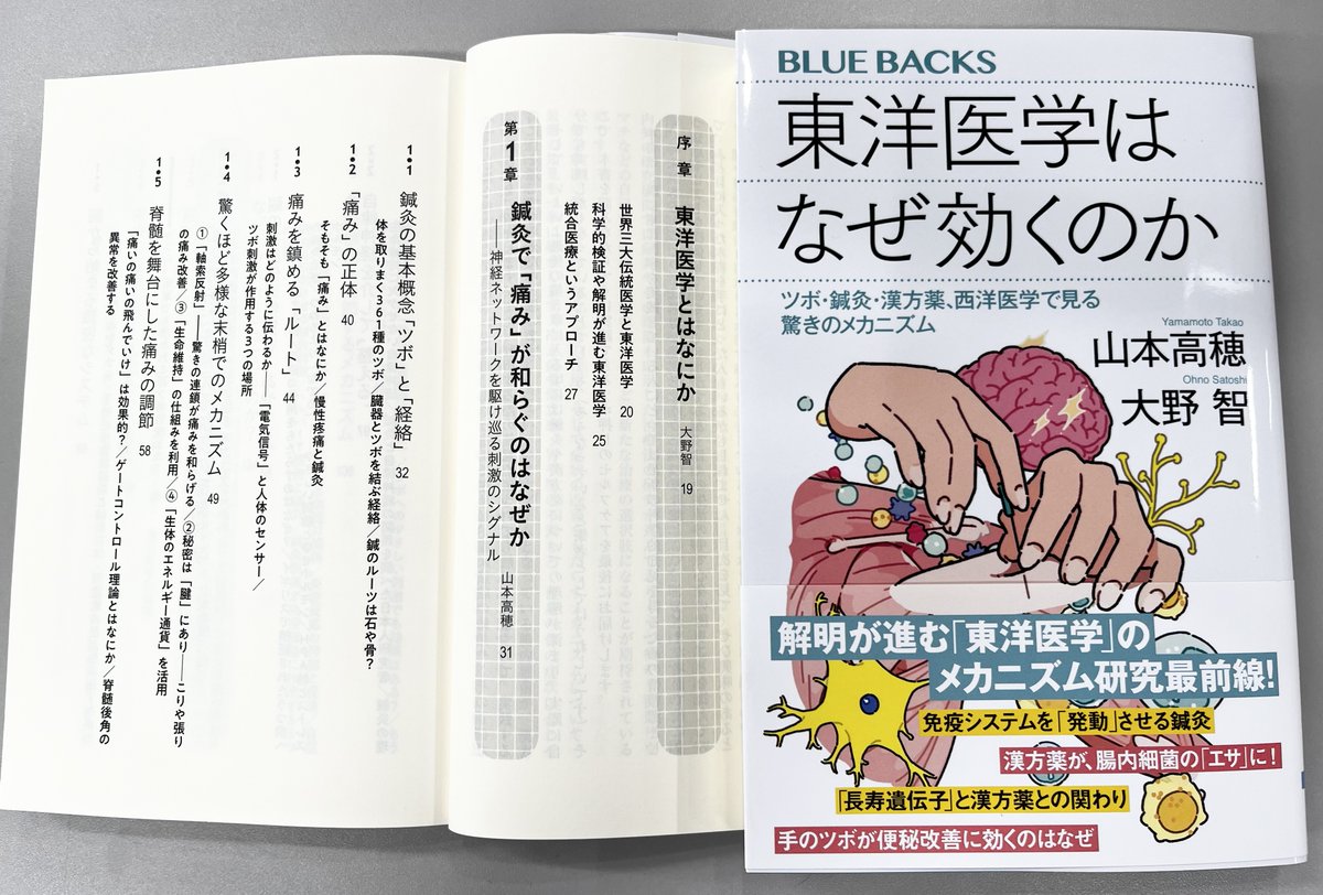 続・々・重・版！たちまち2万5000部突破！！】 山本高穂・大野智『東洋