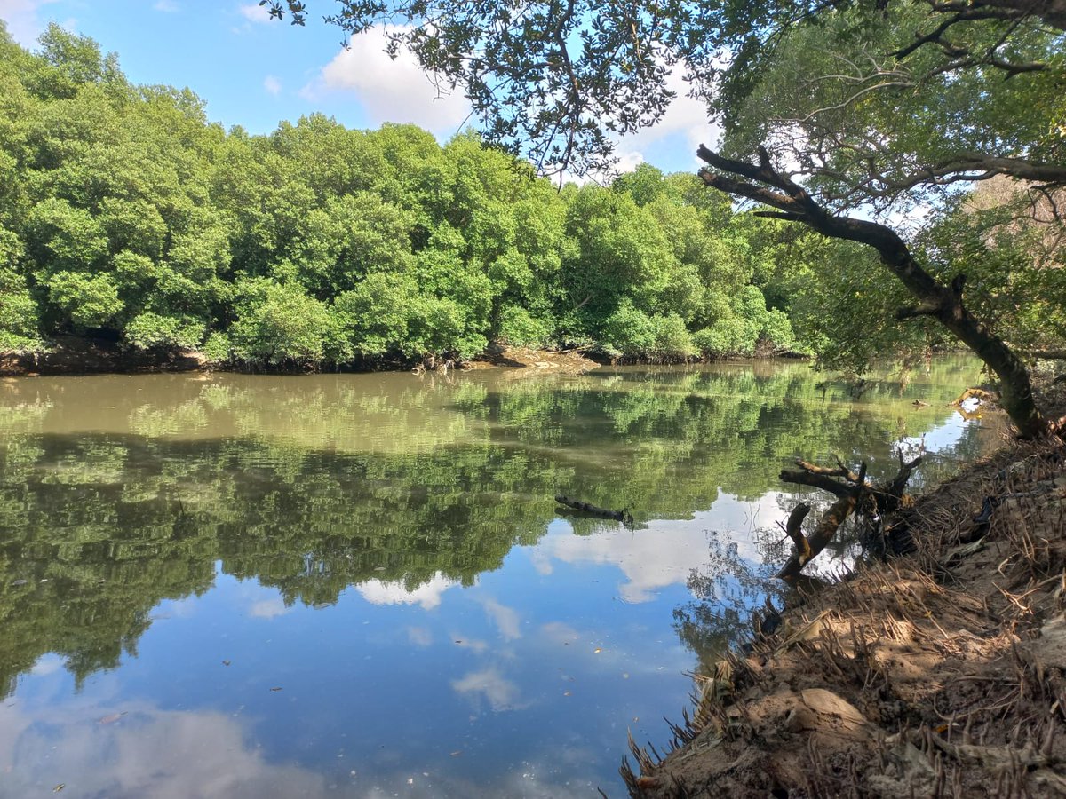 The workshop was an initial step toward an integrated watershed management plan involving all relevant government agencies. Such a plan will strengthen watershed management activities at the Msimbazi Basin which is vital for its sustainability.