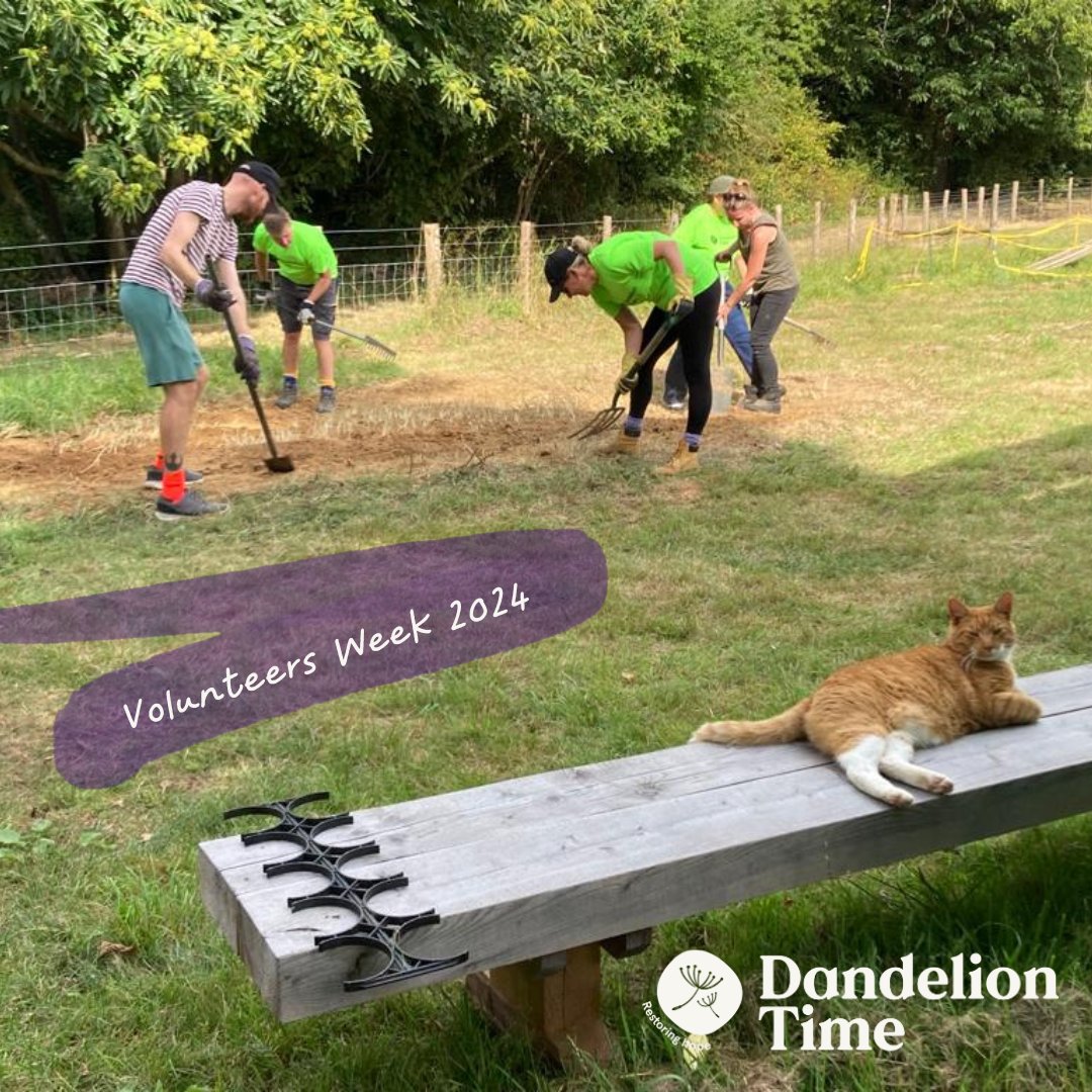 Our maintenance volunteers ensure grounds and buildings are safe and well cared for, ready  to welcome the families.

We could not do the work we do without the hard work, commitment, and dedication of our volunteers 💚

👉 ow.ly/7HEZ50S8pC5 

#VolunteersWeek #ThankYou