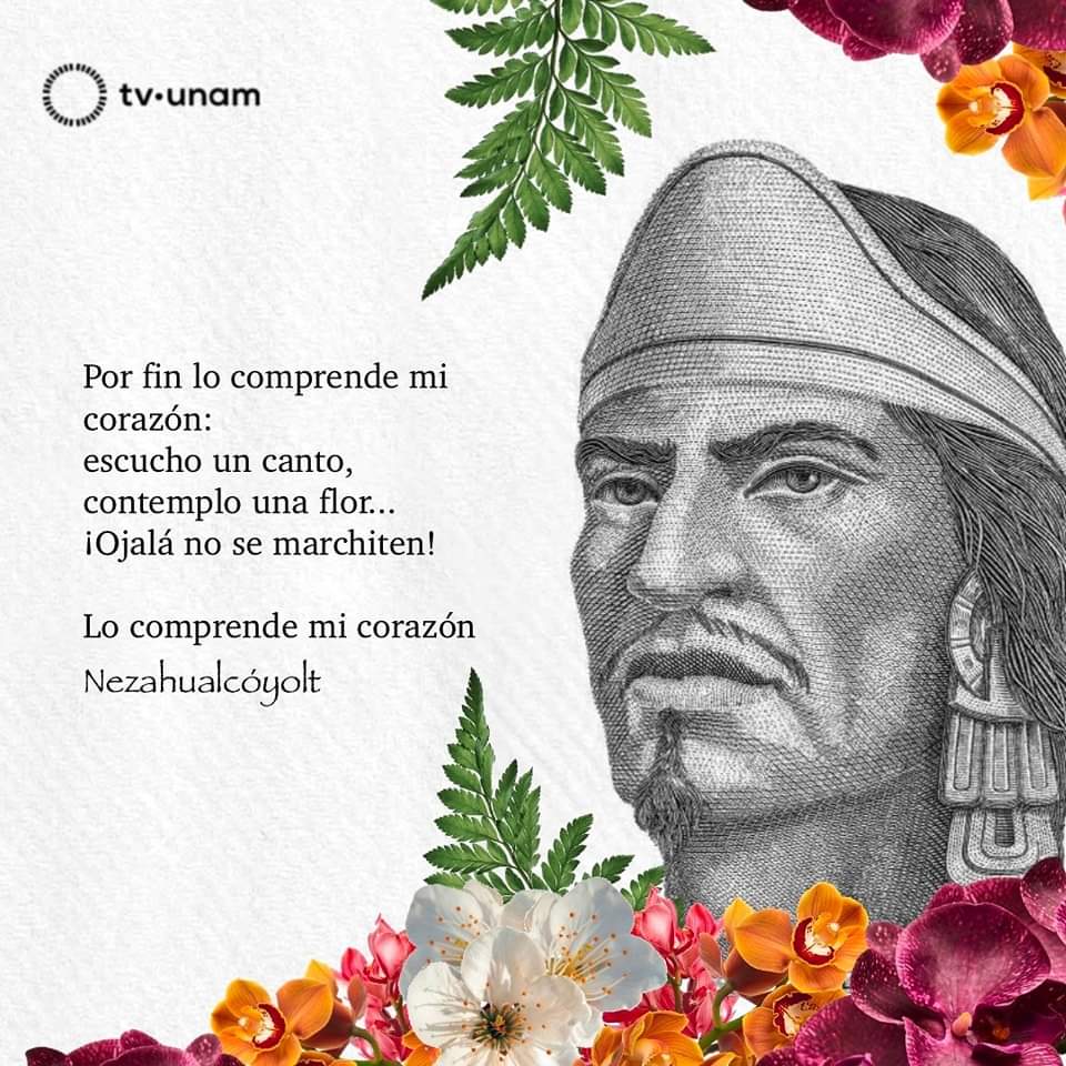 MayferCL's tweet photo. 🪷🌹♥️ https://t.co/opSMHaKcJG