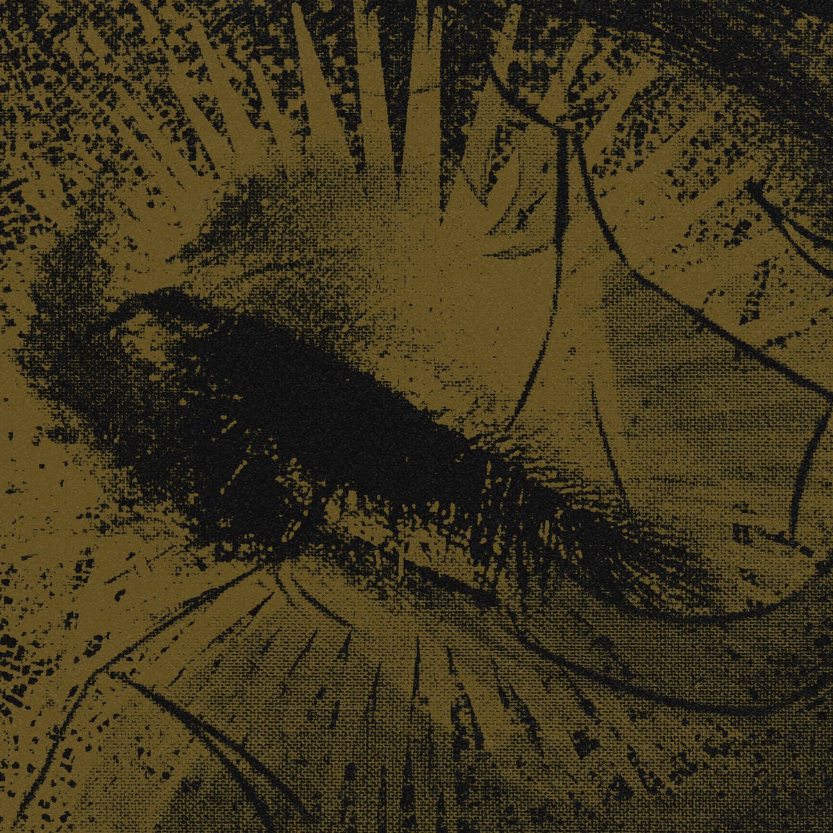 ᅠᅠᅠᅠᅠᅠᅠᅠᅠ
ᅠᅠᅠᅠᅠᅠᅠᅠᅠ
ㅤ
    ⠀⠀     ֵ⠀⠀  ⠀you⠀anemic⠀loser⠀⎖.⠀
            slow     ┈━    ⠀sunlit.⠀   dreams  .

ᅠᅠᅠᅠᅠᅠᅠᅠᅠ
ᅠᅠᅠᅠᅠᅠᅠᅠᅠ