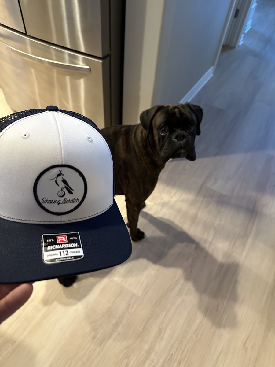 timmyo78's tweet photo. I just unboxed the lid of a lifetime! Even the dog understands the magnitude of the moment! Thank you to ⁦@chasingscratch0⁩! #LGLG! https://t.co/5RApWueaDu