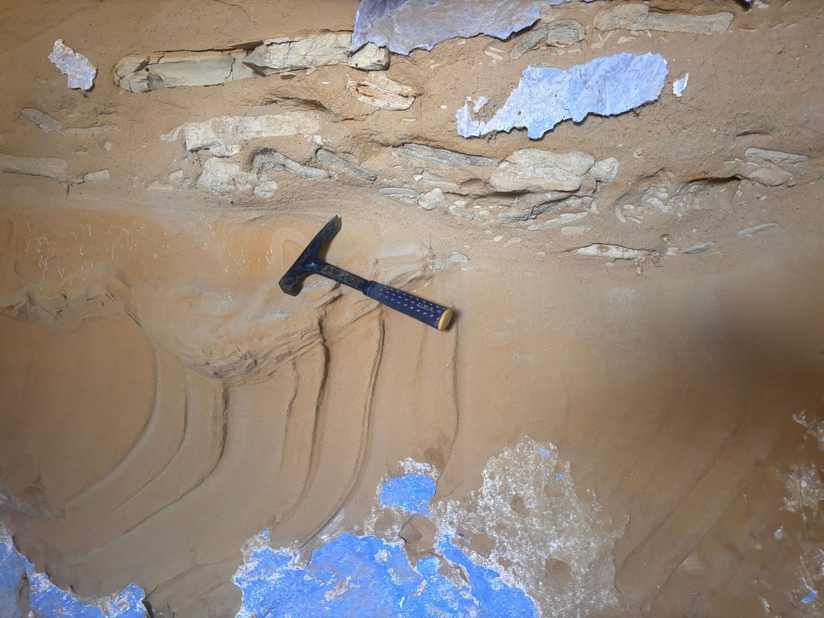 Second #ALGEMAR field trip day at the Guadalquivir basin! ⚒️ Visiting fabulous outcrops in Jaén 🪨🔎 It's bien a hard day 🥵
