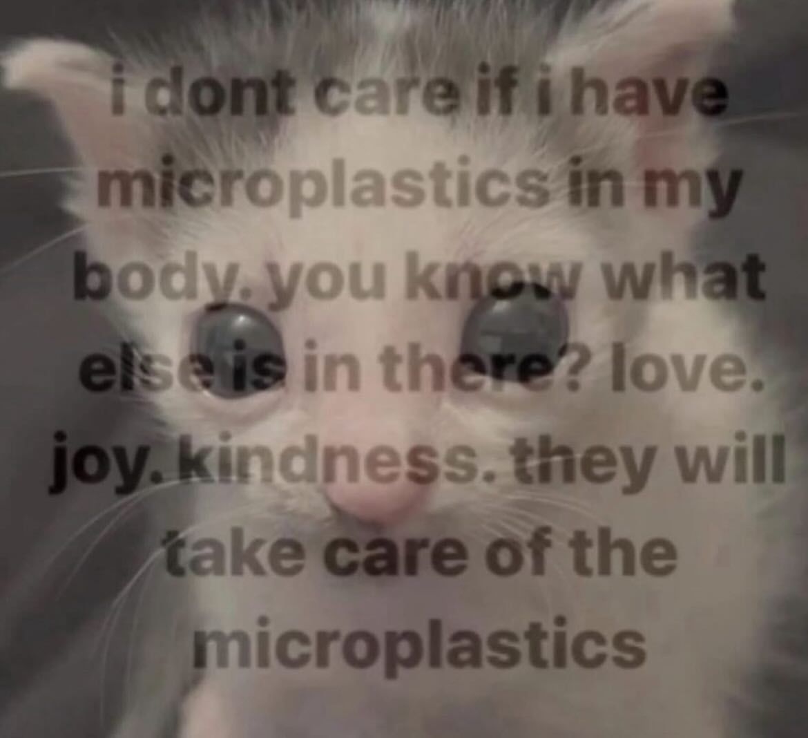 🕐HOURLY🕑 shitpost (@hourly_shitpost) on Twitter photo 