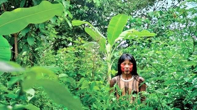 hi4luck's tweet photo. पेड़ को बचाएंगे तभी जीवन बचेगा  🌳📷 #विश्व_पर्यावरण_दिवस #WorldEnvironmentDay‌ 
Full Video=https://t.co/mWNEMlUaNj https://t.co/VYOYzPSa9u