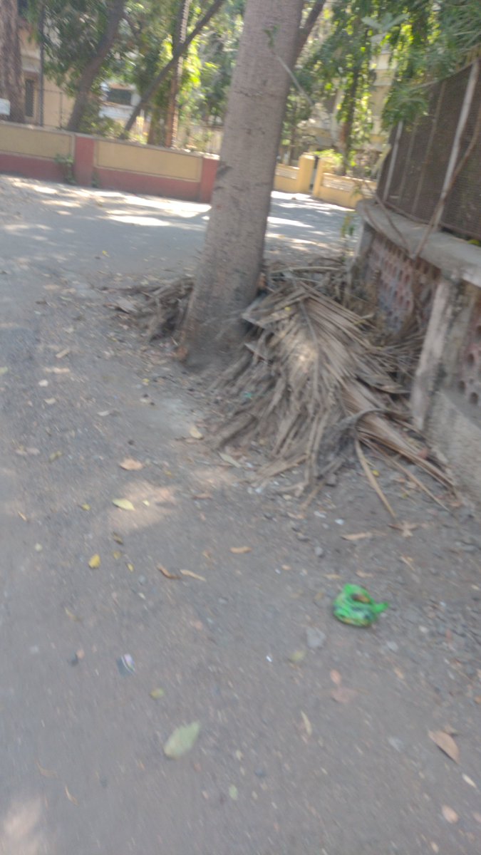 SentinelWachter's tweet photo. Once lives are lost only does @mybmc get into action complaining to @mybmcGardens #Sheetal madame @mybmcWardMW @mybmcWardME regards garden waste accumulated in #sector6 outside #newheaven & #diamond building but has been uncleared for months now. @RoadCrusade @NikLim01 https://t.co/NxvsZLJRNv