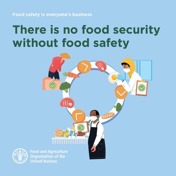 AfricaConsumers's tweet photo. Safe food is not just about preventing illness, it's about fostering a healthier, more sustainable, and more prosperous world for all. Join us in promoting food safety, because everyone deserves access to safe, nutritious food. @FutureForAll @NutritionIntl #WorldFoodSafetyDay https://t.co/aRjs23Ikm6