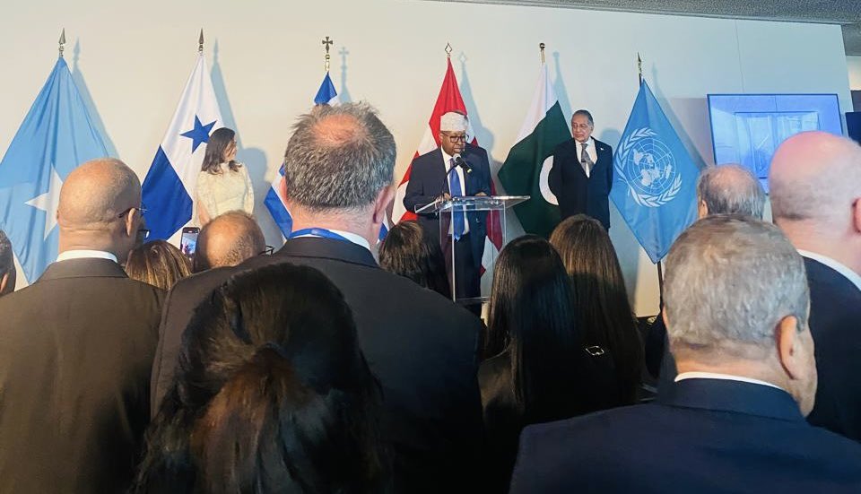 SONNALIVE's tweet photo. The #UNGA will vote to elect five new #UNSC members: #Somalia, Denmark, Greece, Pakistan, and Panama, today. #Somalia is seeking a second term, with a focus on upholding international law and amplifying diverse voices within the Council. #UNSCElection https://t.co/hx3gx0hs28