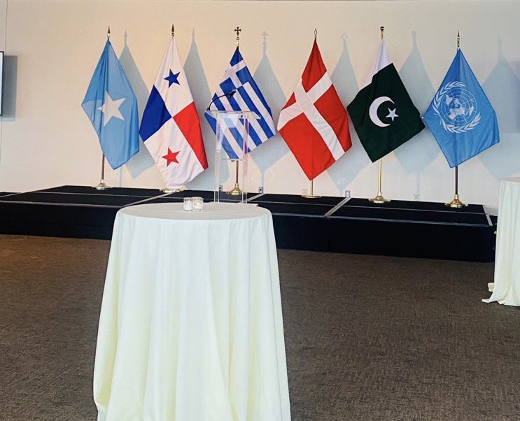 SONNALIVE's tweet photo. The #UNGA will vote to elect five new #UNSC members: #Somalia, Denmark, Greece, Pakistan, and Panama, today. #Somalia is seeking a second term, with a focus on upholding international law and amplifying diverse voices within the Council. #UNSCElection https://t.co/hx3gx0hs28