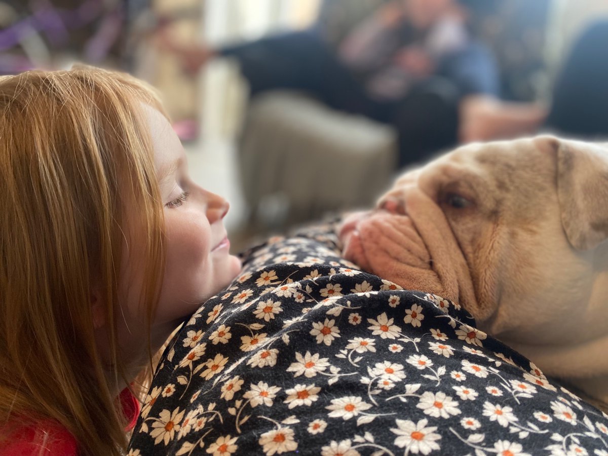 lilyrosememory1's tweet photo. @Phil_Sledge Doyle our bulldog and my youngest daughter Lilith ❤️ https://t.co/zOuVfz59S7