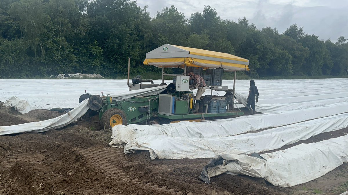 ClaireMich89's tweet photo. What a great couple of days at Kessel for our Asparagus Info Exchange Days. Great to meet Bejo colleagues from all around the world and share knowledge. Excited to see the new Asparagus material coming through aswell! Looking forward to the next one 😁@Elsomsseeds @BejoBenelux https://t.co/Iqak9Nt5tC