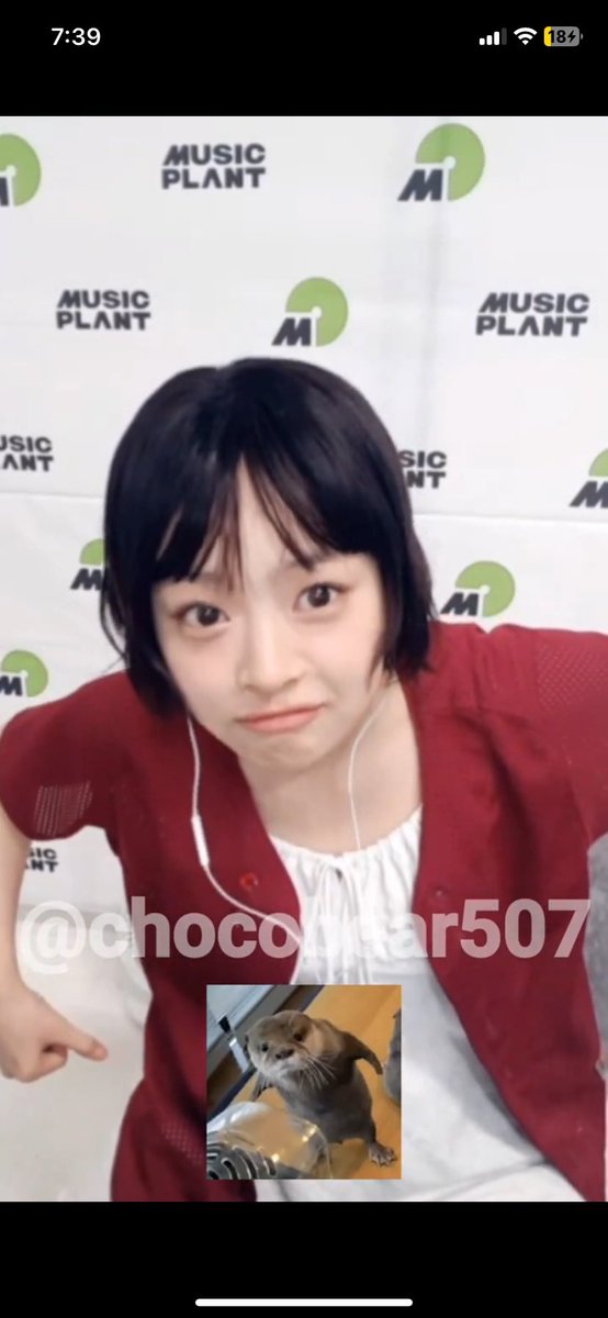 하웅🦭 tweet media