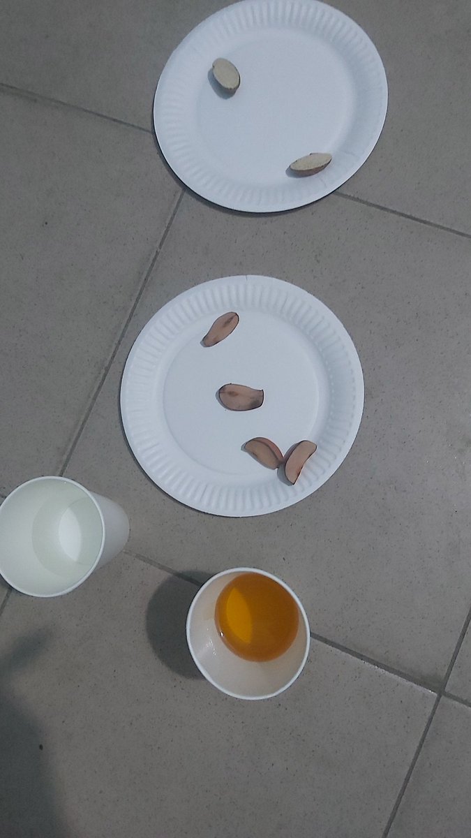 #opendata tweet media