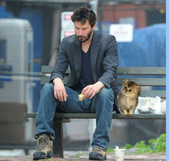 Hardyboyz.Degen tweet media