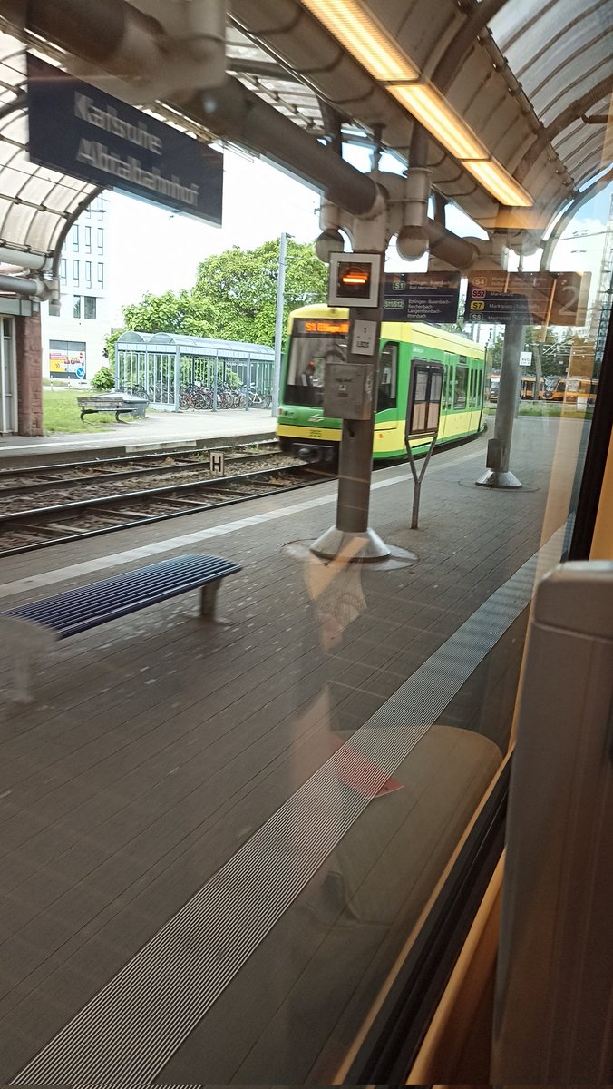 Tubertus and friends tweet media