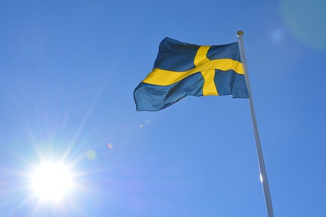 Glad Nationaldag! Happy National Day! #6juni #nationaldagen 

#svenskaflaggansdag #Sweden #swedishnationalday #june6