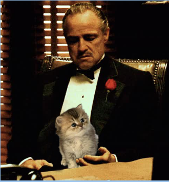 Hardyboyz.Degen tweet media