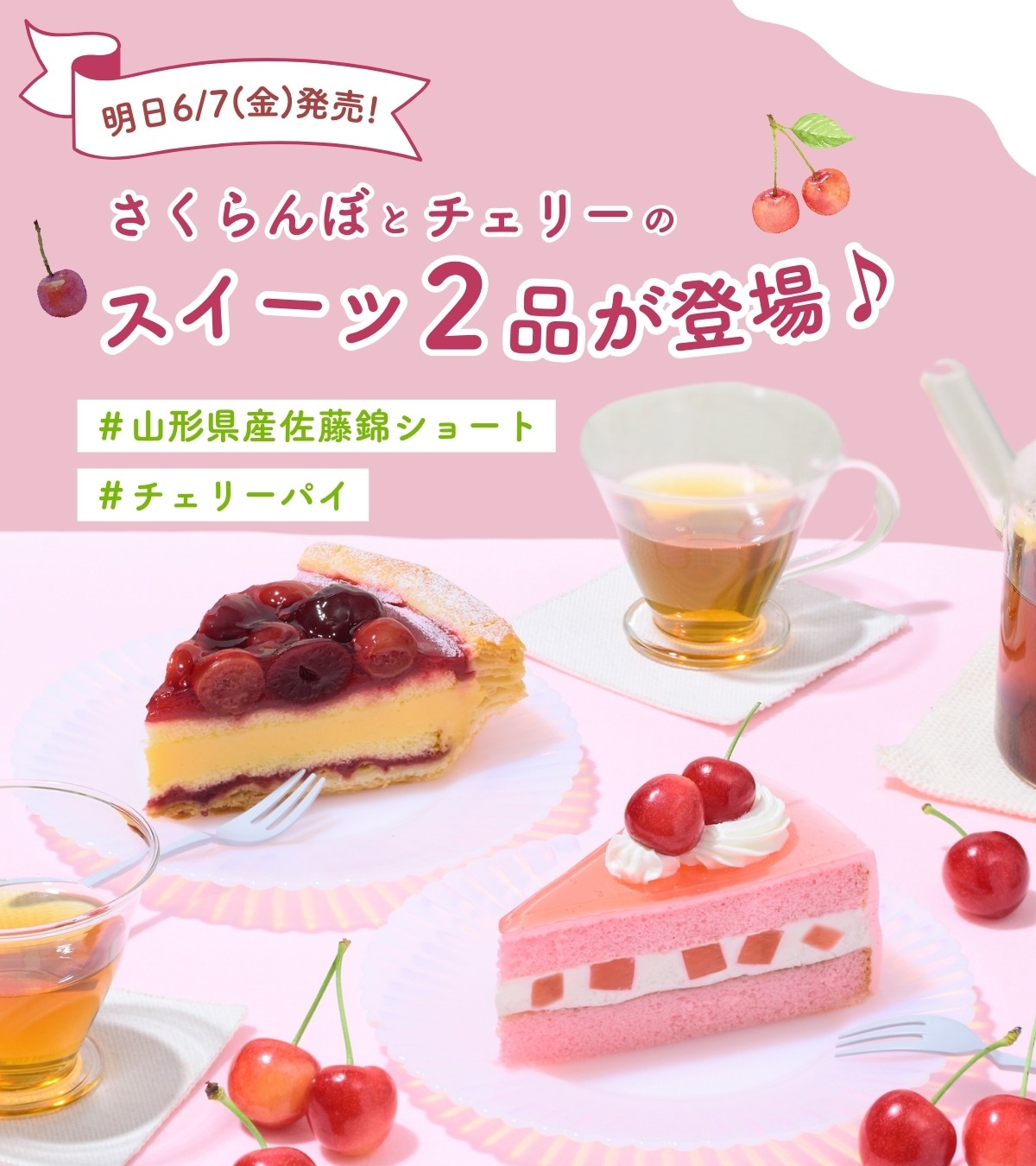 あんこケーキさとう様 あんこケーキさとう様