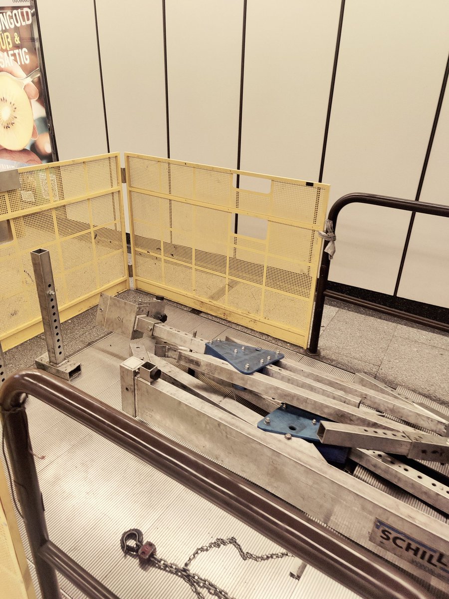 Judith Bedenkmayr tweet media