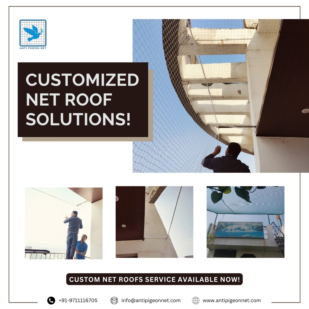 antipigeonnet's tweet image. Level Up Your Balcony Game!   Custom Net Roof Service Now Available! Visit: antipigeonnet.com for more.
#antipigeonnet #birdnet #balconynet #birdnettting
#CustomBalcony #NetRoofSolutions #twitterfeed