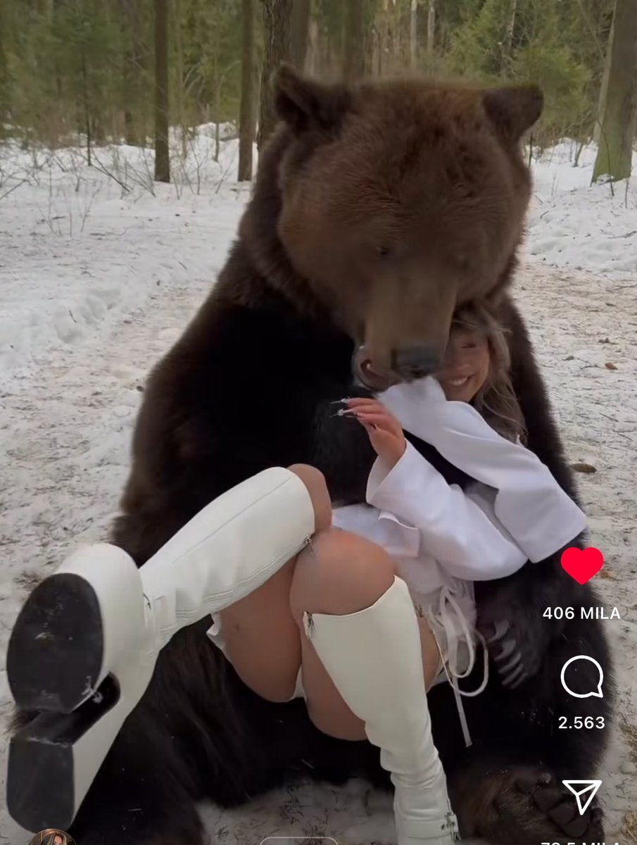 mistaisulcazoz's tweet photo. io appena mi chiedono di scegliere tra un uomo o un orso https://t.co/JRiz4nULks