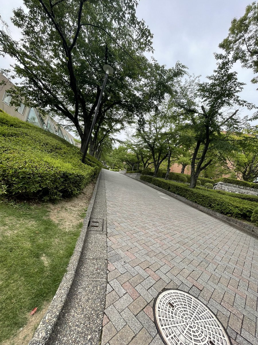 kanny1031's tweet photo. あそぶんがくぶ楽しい
懐かしいなぁ、、、
オーキャンの時に、ここで話したの今思っても震えるわ…🥹
よう自分頑張ったな https://t.co/dexySrYSYe