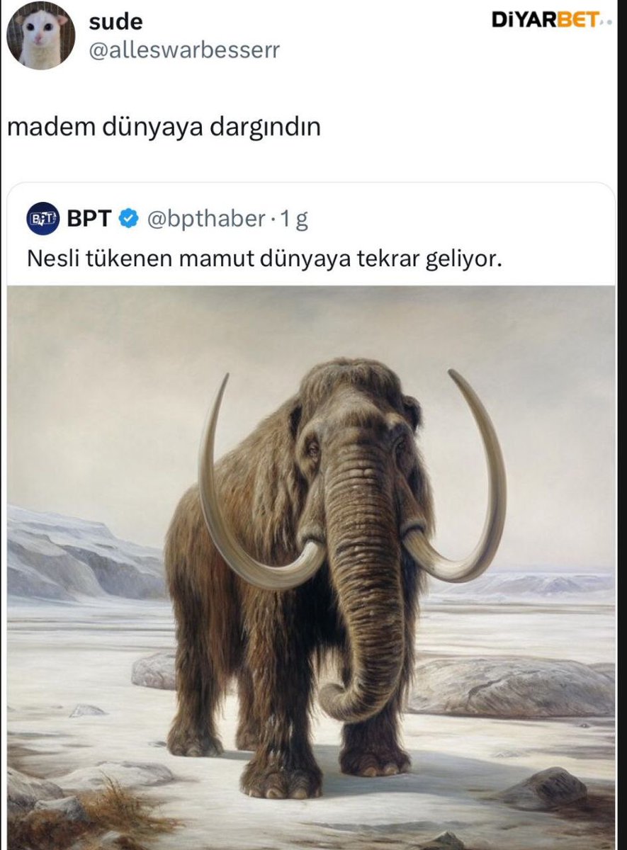 MedyaViral's tweet photo. https://t.co/EhnxwPuyj2