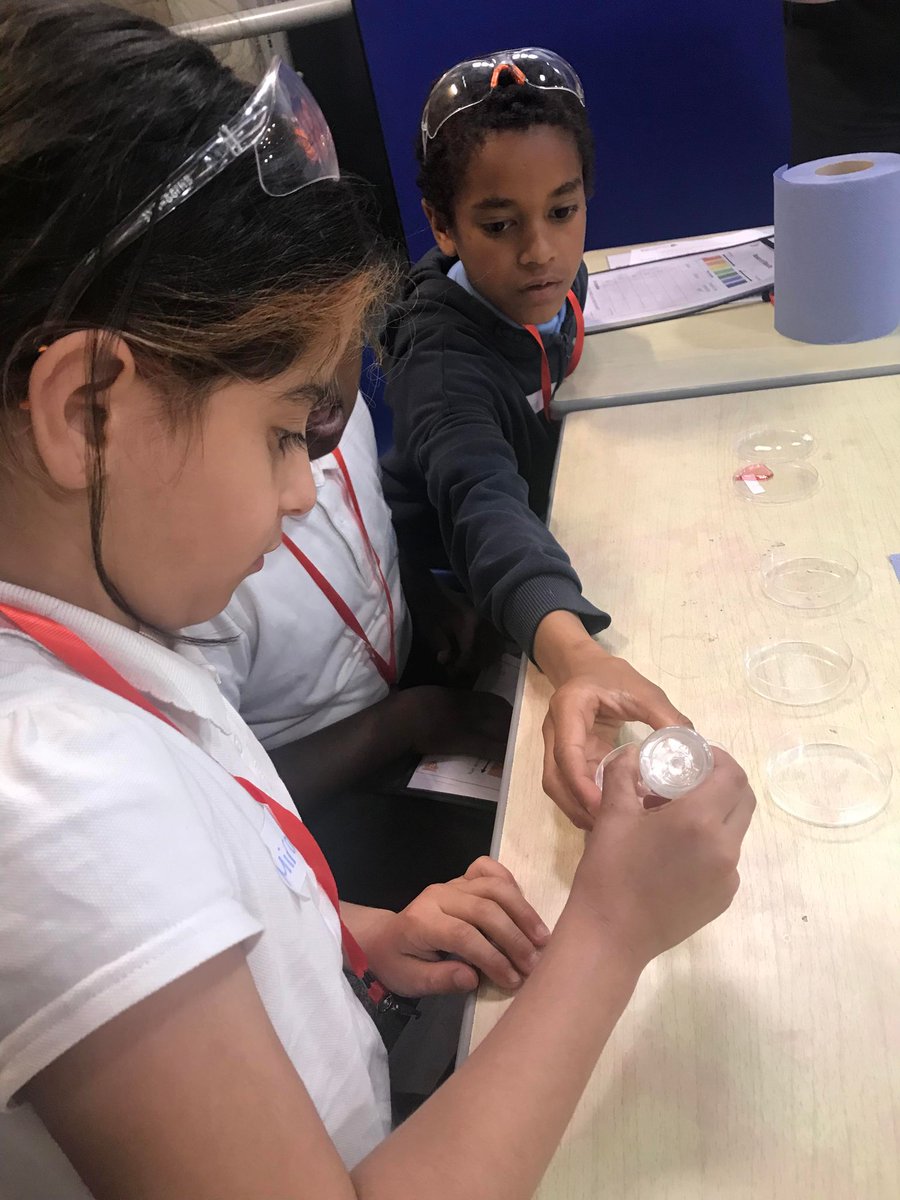 Hannah More Primary tweet media