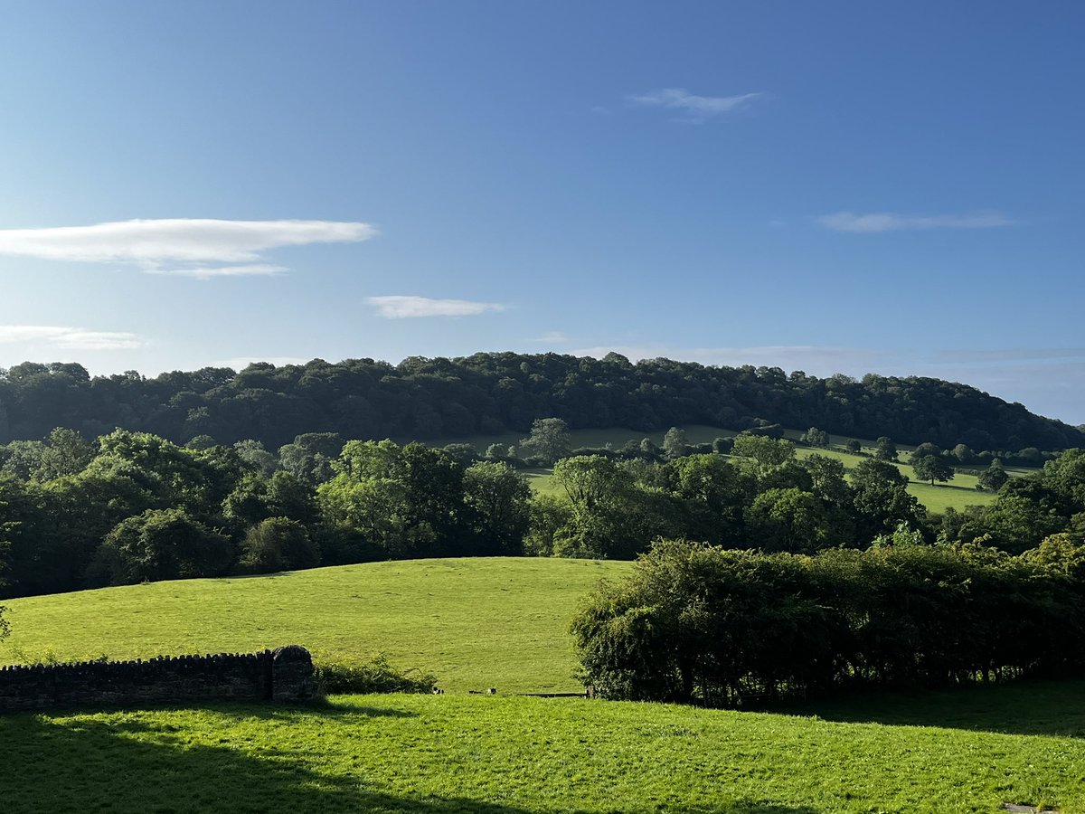 MrGrayHeadLMS tweet media