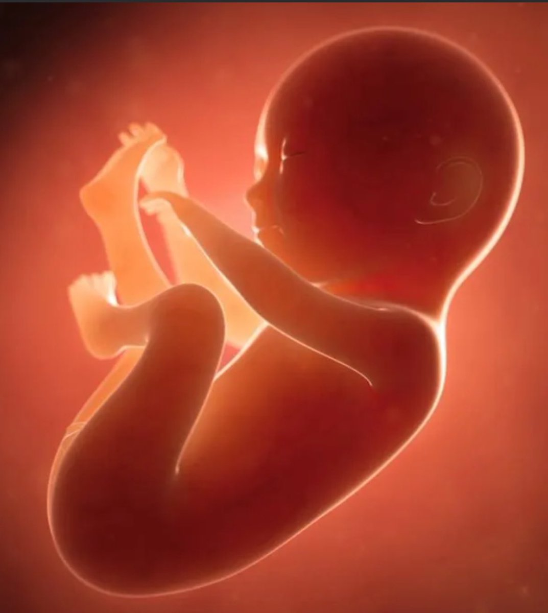 DesiGrogu's tweet photo. Humans live in an aquatic environment for the first 9 months of their lives as a fish before they come on land after the amniotic sac breaks
 human embryo is essentially a fish like creature
No wonder they can swim right away after birth https://t.co/DyqxTW78fB
