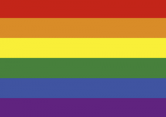 @MdlBehrendt Was halten Sie von dieser Flagge? Nur Schwule, Lesben und Bisexuelle...? Wäre das okay für Sie?