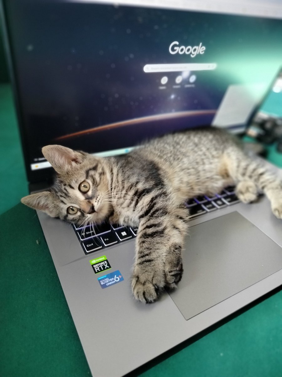 Everything is given a place in life, but it is not known who is lucky?..
 Which is better? The whole popsicle cone for one or one briquette of cream sundae for three?))