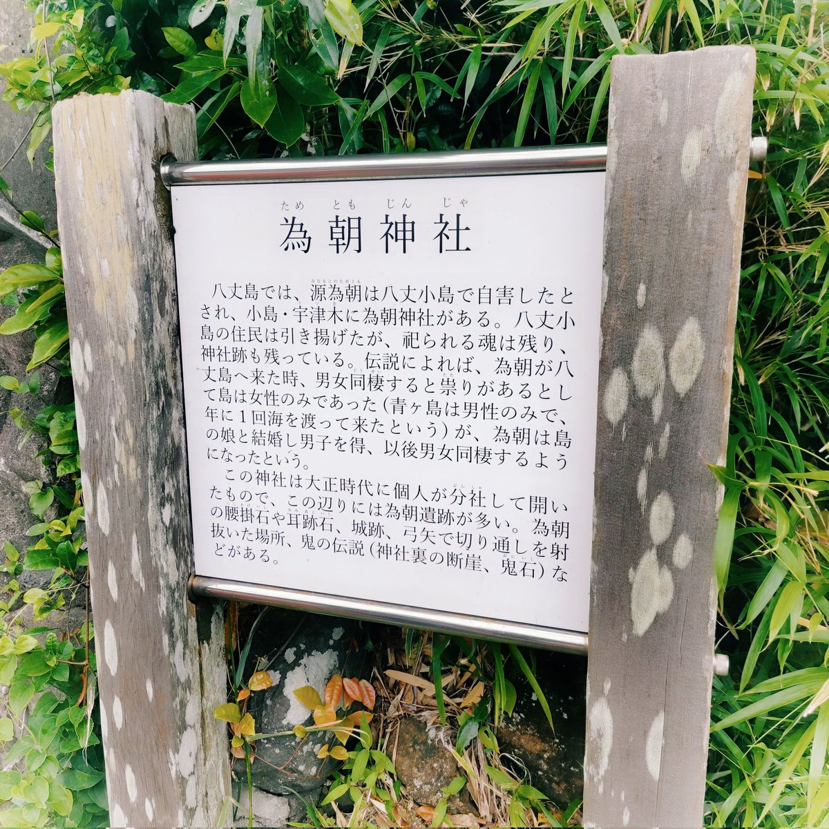 firetakumin's tweet photo. 八丈島、為朝神社へ。
元々は八丈小島にあり、無人島になった為、分社して祀っております。
源為朝は1156年に保元の乱に敗れ大島に流され、後に追手によって八丈小島で自刃したそうです。オロチを退治して八つ斬りにし、一切れが1丈あったので八丈島と呼ばれるようになった説。
#八丈島
#源為朝 https://t.co/HMW1oKVkCy