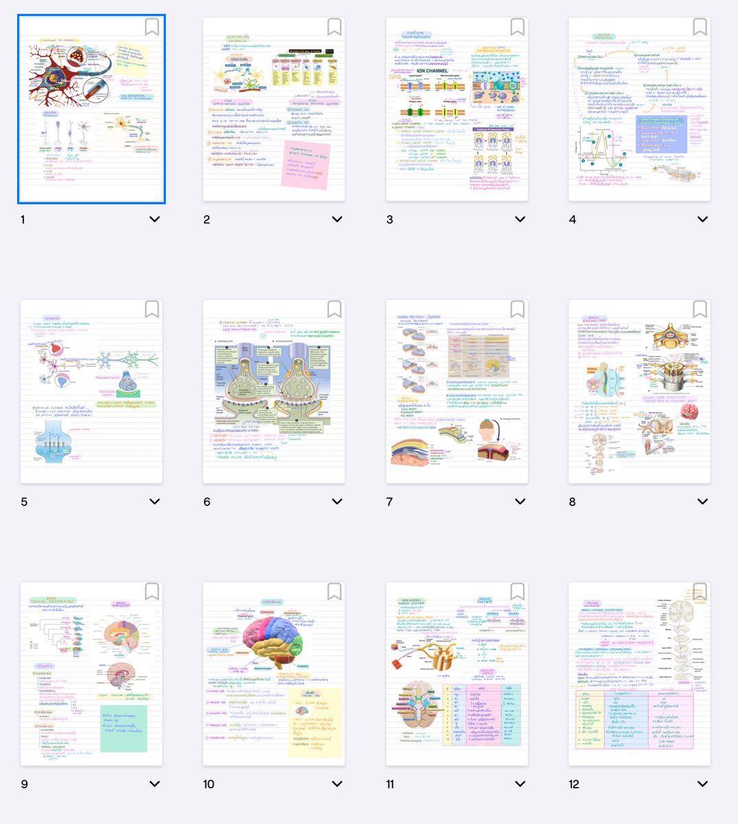 แจกสรุป ชีวะ anatomy of neuron ของเค้าเอง 🧬

✿ ไม่นำไปใช้ในเชิงพาณิชย์ ห้ามดัดแปลง คัดลอก เลียนแบบ เพื่อนำไปขายต่อนะคะ หากพบเห็นสามารถแจ้งมาที่ <a href="/sup3rlucky/">luckie ೀ</a> ได้เลยค่ะ ✿
⭐️ ใช้เพื่อการศึกษาเท่านั้นน้า ⭐️

♡ link drive.google.com/drive/u/0/mobi…

 #dek68 #dek69 #dek70 #แจกสรุป