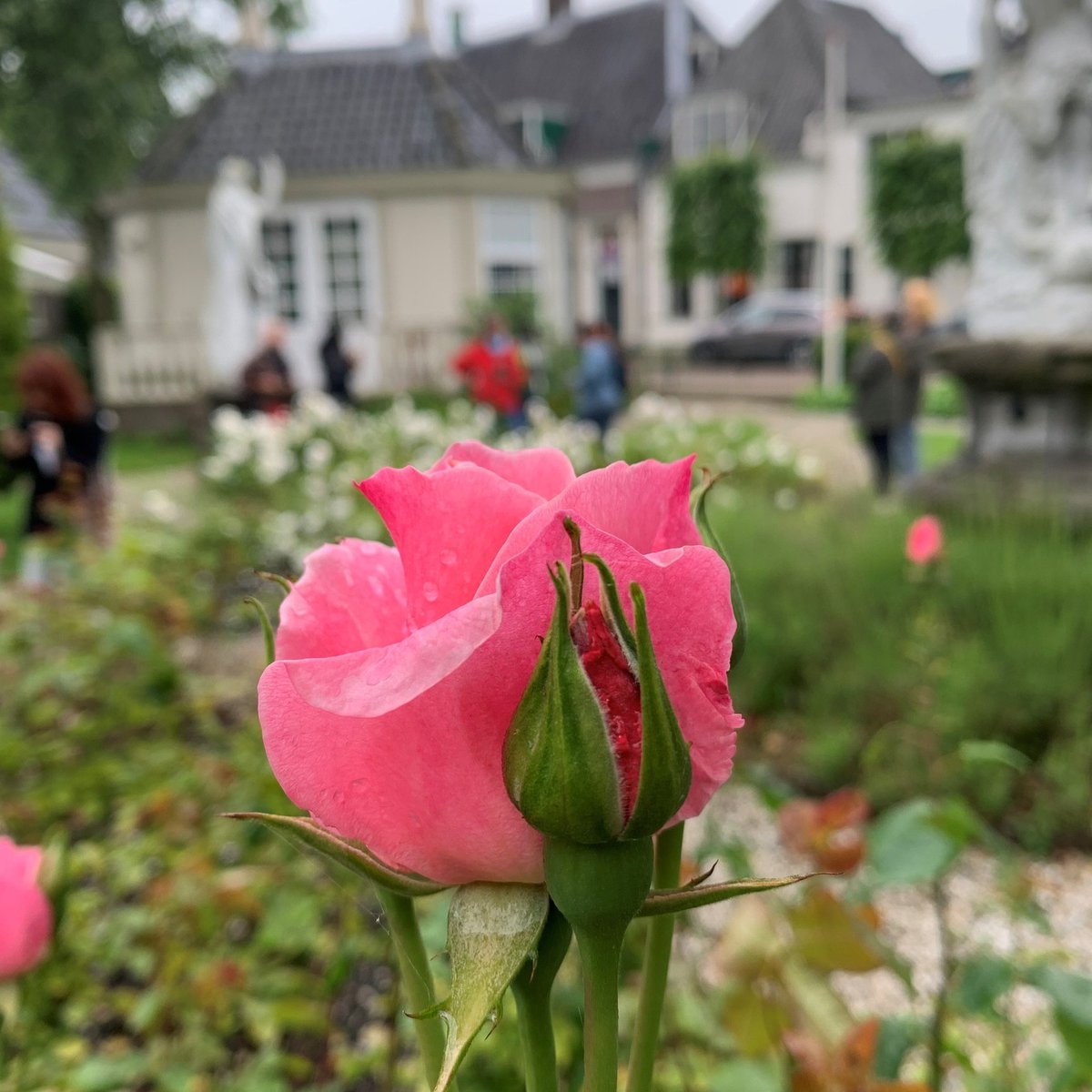 Afgelopen weekend vond de #Instawalk van Marjolein Lensink (<a href="/heijnisschipper/">Marjolein Lensink-Neijzing</a>) plaats! De winnaars hebben genoten van een prachtige wandeling en veel interessante feitjes geleerd. Ook de #fototips waren een groot succes.

#Instawalk #Fotowandelen #DeZaanstreeksmaaktnaarMeer #Zaans