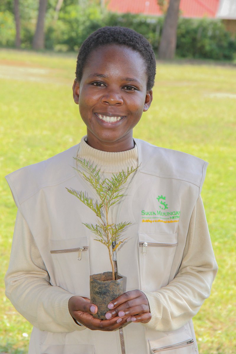 Ever wondered what a tree can do? Plant it today and witness the power of nature to transform the world.  #GenerationRestoration #WeAreVCA #SIMUNcares. 
@wanavijiji_Sdi @Alineafrica <a href="/WeAreVCA/">Voices For Just Climate Action</a> <a href="/WWF_Kenya/">WWF-Kenya</a> <a href="/hivosroea/">Hivos East Africa</a> 
<a href="/amwaafrika/">Akina Mama wa Afrika</a> <a href="/SouthSouthNorth/">SouthSouthNorth</a> <a href="/WEL2030_/">Women's Empowerment Link (WEL)</a>
<a href="/DLCI_Kenya/">DLCI Kenya</a> <a href="/PacidaKenya/">PACIDA</a>