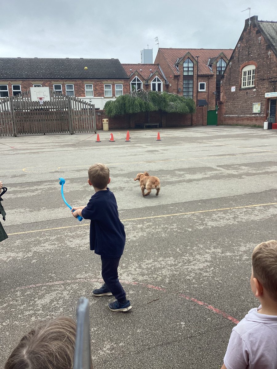 FishergateEYU's tweet photo. We filled our ‘Star in the Jar’ reward pot and so Mrs Fisher brought in Sasha the dog to visit us in Early Years. Sasha was very well-behaved and gentle and enjoyed lots of love, cuddles and playtime.  #fishergateunderstandingtheworld https://t.co/k8qz51CiNj