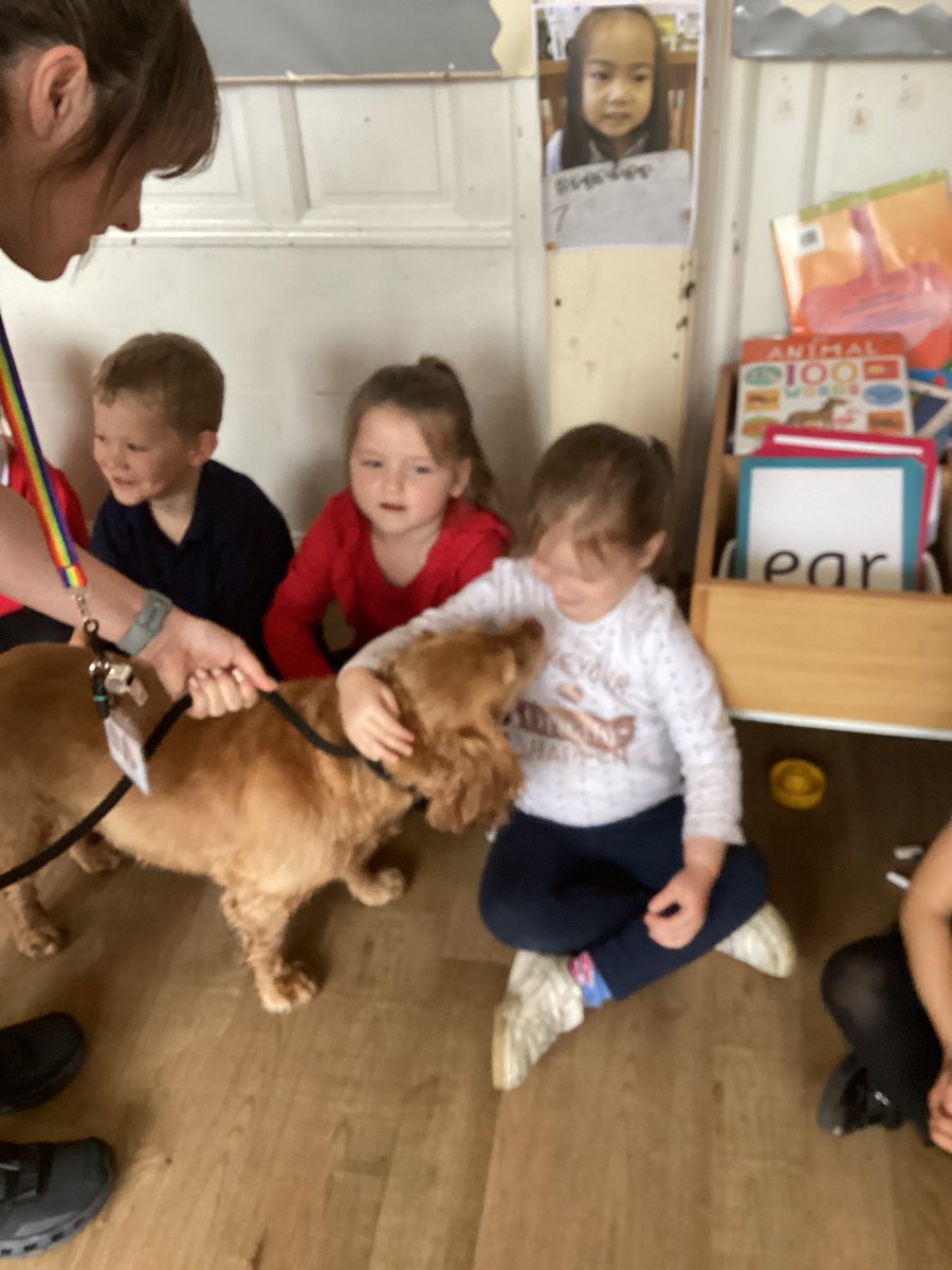 FishergateEYU's tweet photo. We filled our ‘Star in the Jar’ reward pot and so Mrs Fisher brought in Sasha the dog to visit us in Early Years. Sasha was very well-behaved and gentle and enjoyed lots of love, cuddles and playtime.  #fishergateunderstandingtheworld https://t.co/k8qz51CiNj