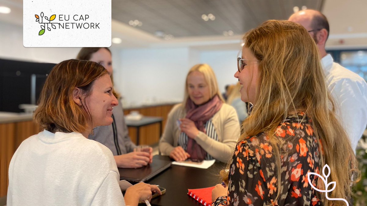 eucapnetwork's tweet photo. In small groups, #SoIKE members share updates and activities from their Member States & organisations💪 https://t.co/qIgastwXTN
