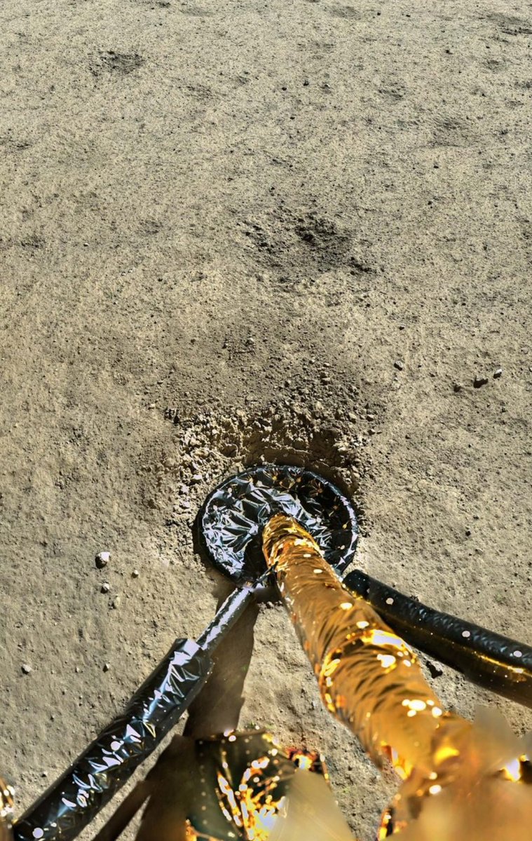 Gabriela Jiménez tweet media