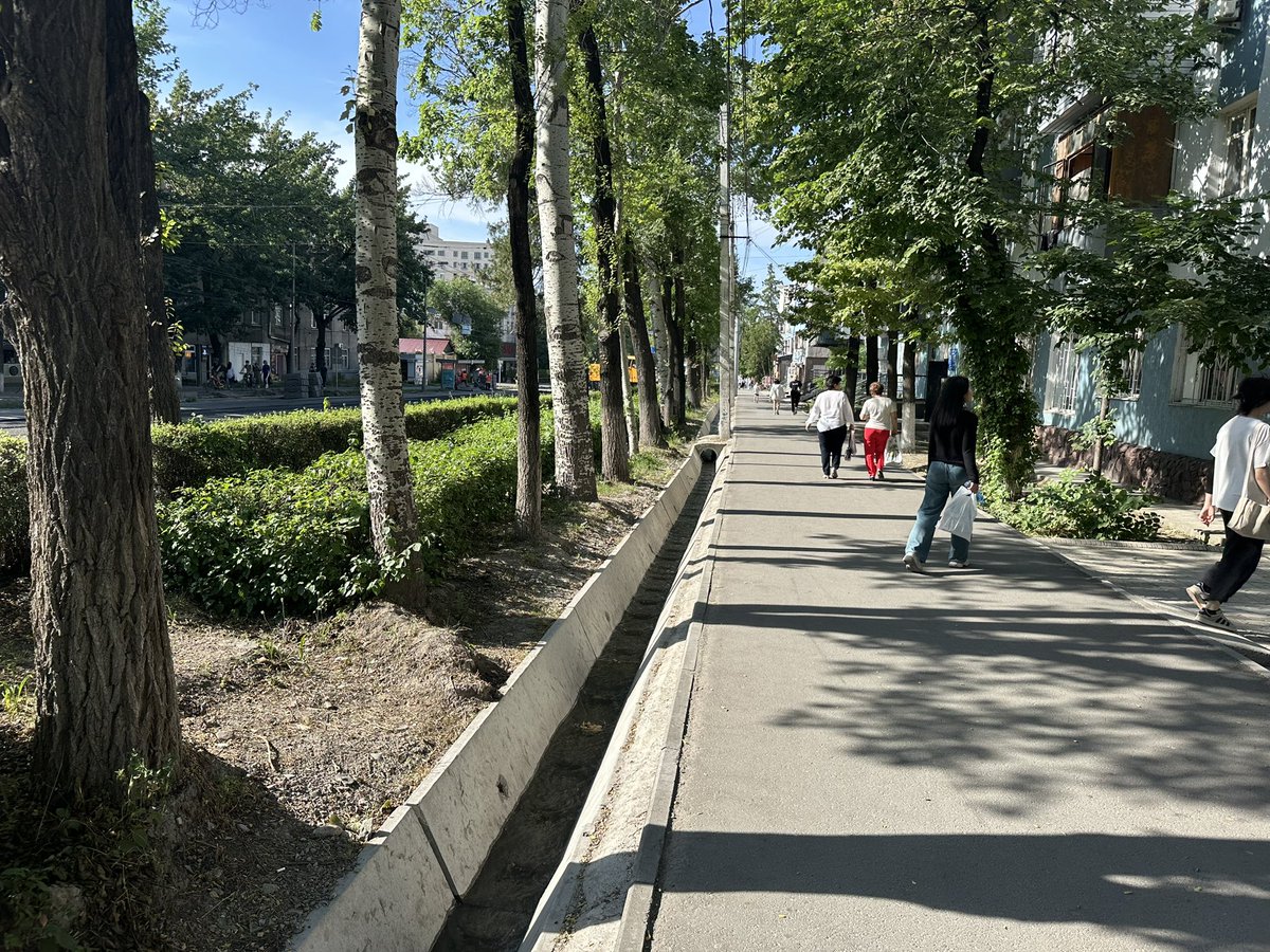 Chunueva's tweet photo. Закатанные под корень деревья 🌳 заболеют и умрут. Будет невозможно жарко летом. 

@meriabishkek 

RIP Бишкек https://t.co/2PVwSPsaI0