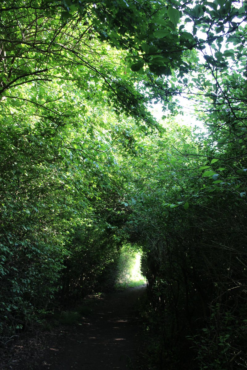 Walks In Camera 🇺🇦 tweet media