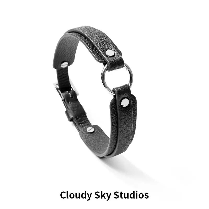 给狗子的礼物。