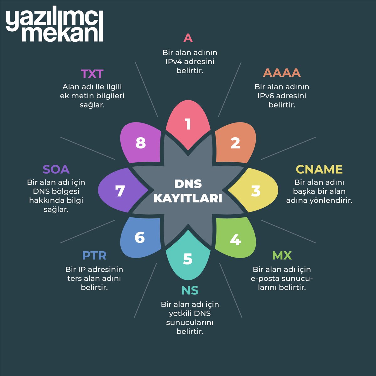 DNS Kayıtları

A (Address), AAAA (Address AAAA), CNAME (Canonical Name), MX (Mail Exchange), NS (Name Server), PTR (Pointer), SOA (Start of Authority), TXT (Text)

#yazılım #kodlama #programlama #software #teknoloji #web #development #ns #nameserver #dns #txt #mx #cname #network