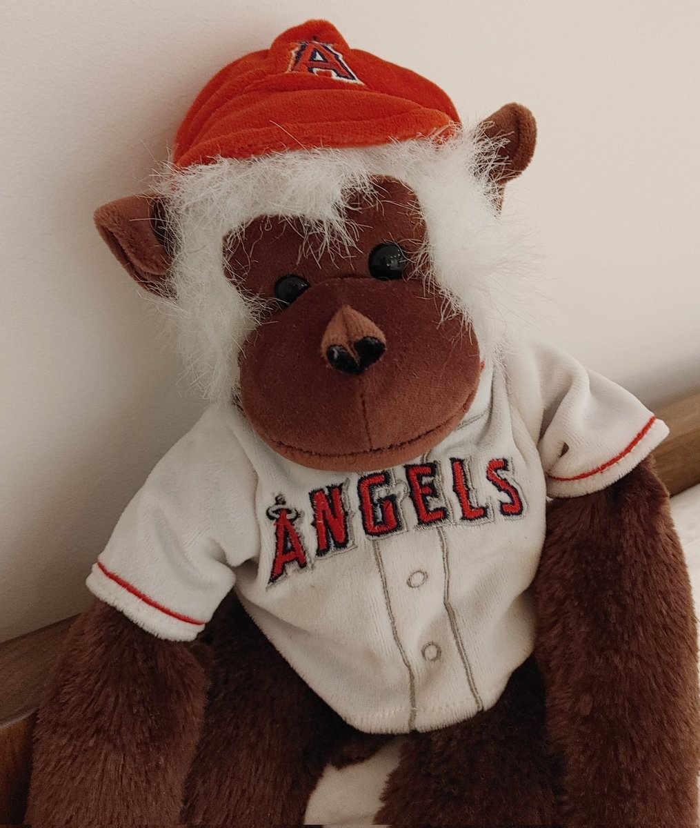 Dr Nicole Rijs tweet media