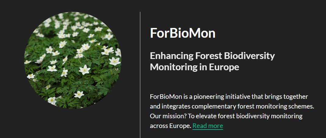 🌐 NEW WEBSITE! 🌳✨ 
ForBioMon launches its site today! 

Discover our goals and future plans at: forbiomon.github.io

Our mission: elevate biodiversity monitoring in European forests. 🌲🌿
 #ForBioMon #Biodiversity #Conservation

<a href="/BiodiversaPlus/">Biodiversa+ (European Biodiversity Partnership)</a>
<a href="/FbwUGent/">Faculty of Bioscience Engineering UGent</a>