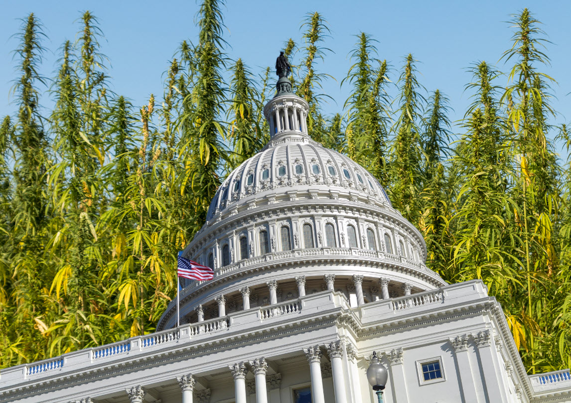 The Government Wants to Kill the US Weed Industry - The Battle Behind the 'Hemp Gets You High' Loopholes
The US government knows hemp is a $28 billion market, so why shut it down? 🤔 
tinyurl.com/2cxnpqao
 #Advocacy #Cannabinoids #Congress #Gamechanger #Hemp