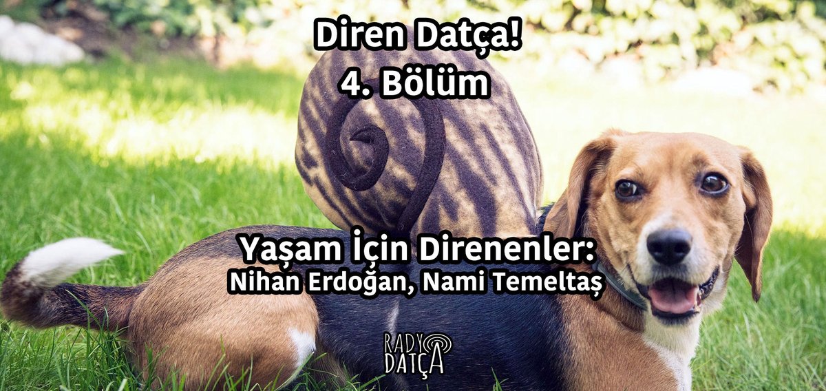 RadyoDatca's tweet photo. @nami149 Podcast yayınımızı Spotify kanalımızdan da dinleyebilirsiniz.  
⁠#SokaktayımYanındayım #RadyoDatça #Datça

Spotify Bağlantısı 👇
https://t.co/0S20FTaxxw https://t.co/RJcoheF0p8