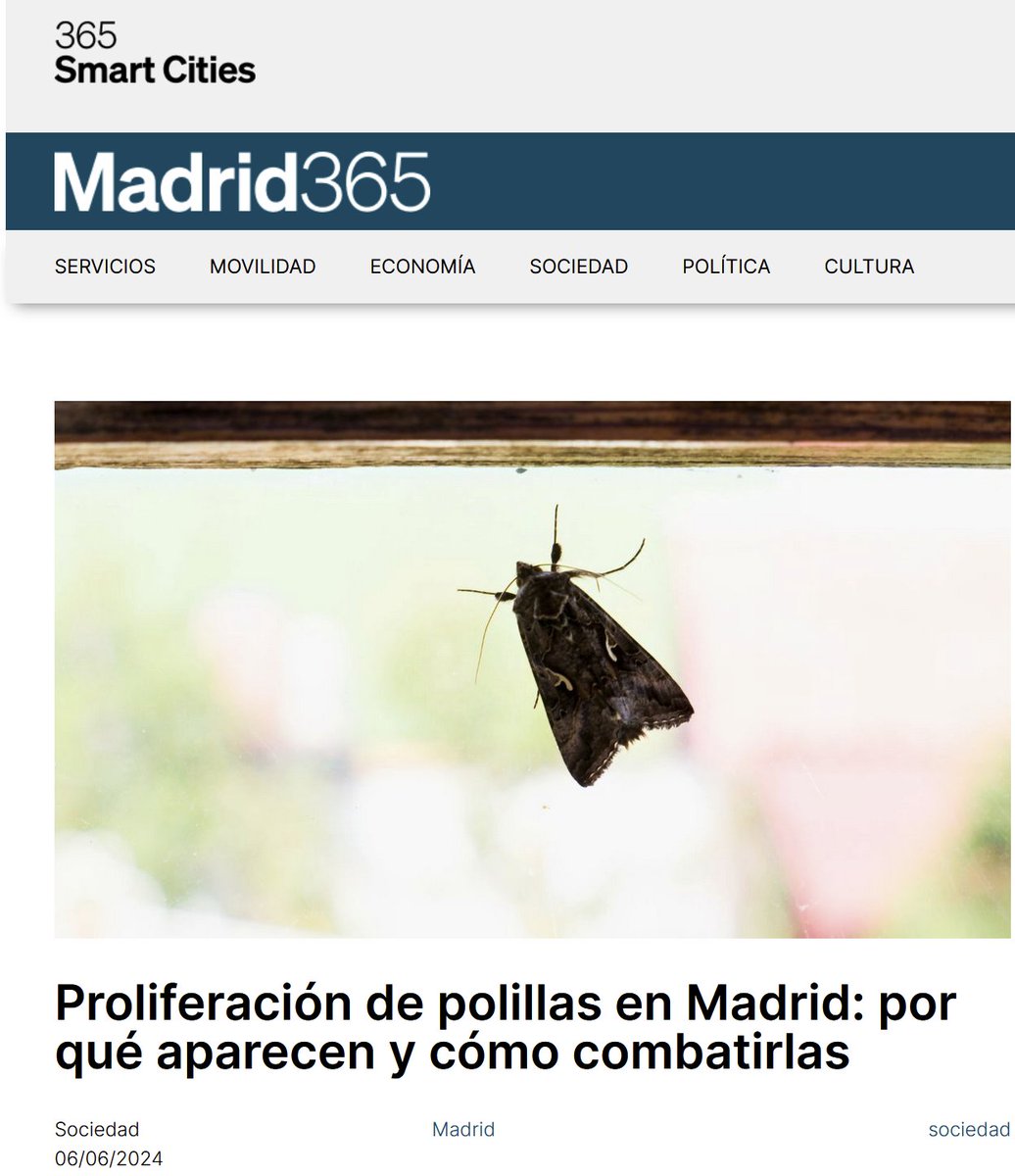 🚨Amigos, tenemos un titular importante 🚨: "La Biodiversidad NO es nuestra enemiga" 🦋🐛🐝🐞🦗. Es necesaria una mayor responsabilidad y conocimiento a la hora de tratar estos temas. Las mariposas nocturnas son inofensivas y muy necesarias para la salud de los ecosistemas⬇️🧵: